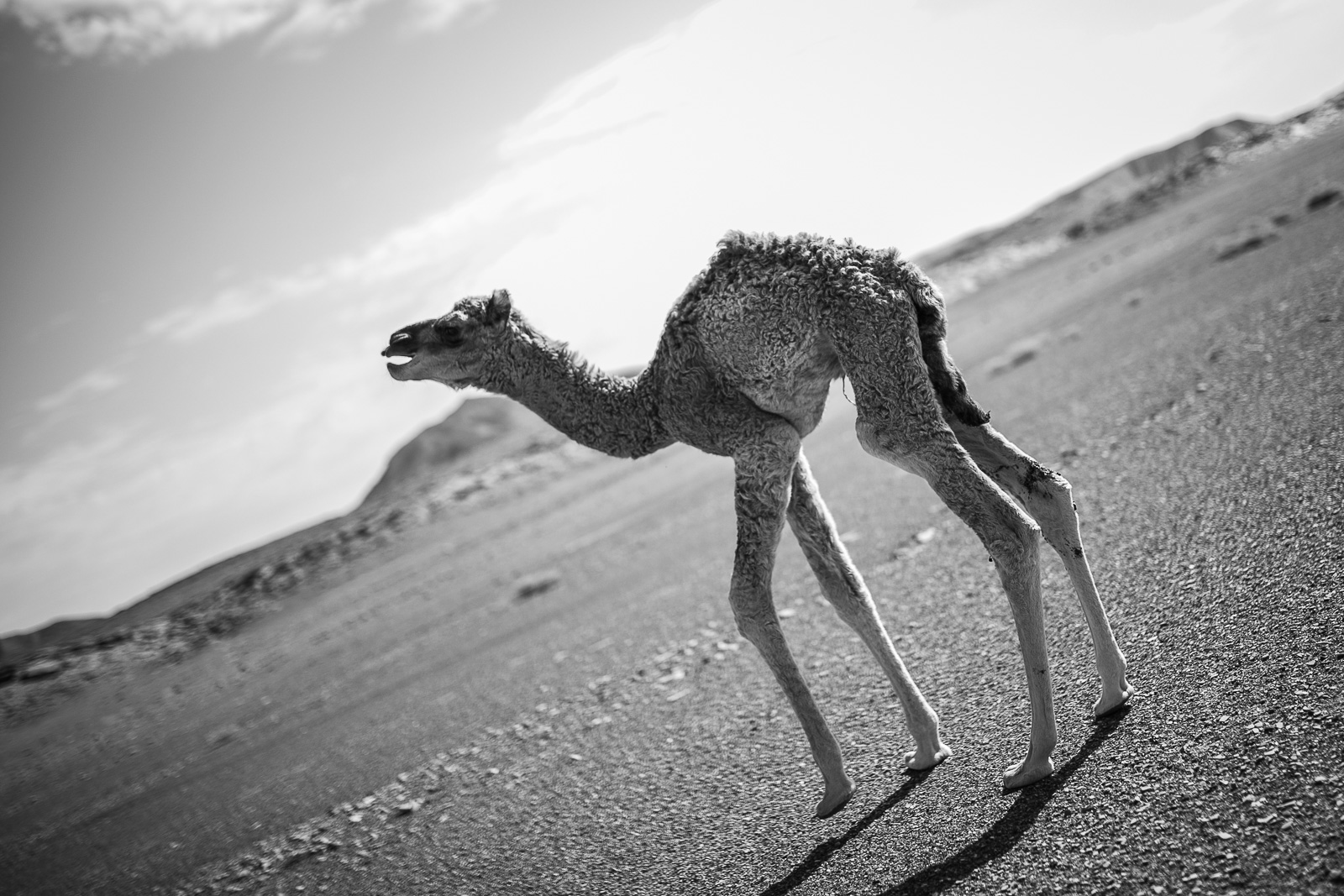 Human & Nature  outoftime 32